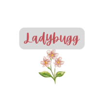 Ladybugg